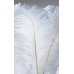 FEATHERS OSTRICH WING  White 14-17" (BULK)- OUT OF STOCK